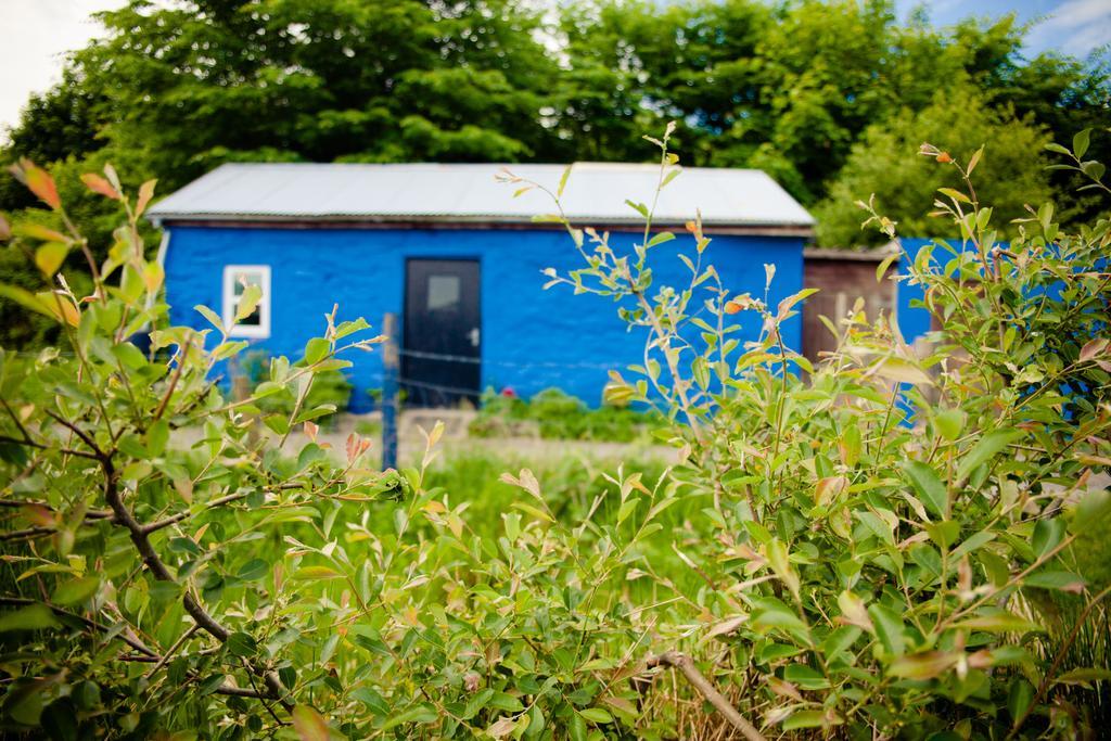 The Snowdon Inn - Y Fricsan Cwm-y-glo Rom bilde